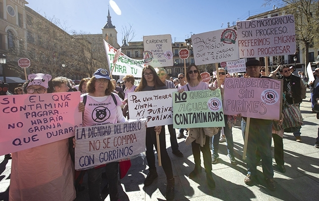 Los manifestantes recorrieron las calles del Casco Histórico de Toledo.