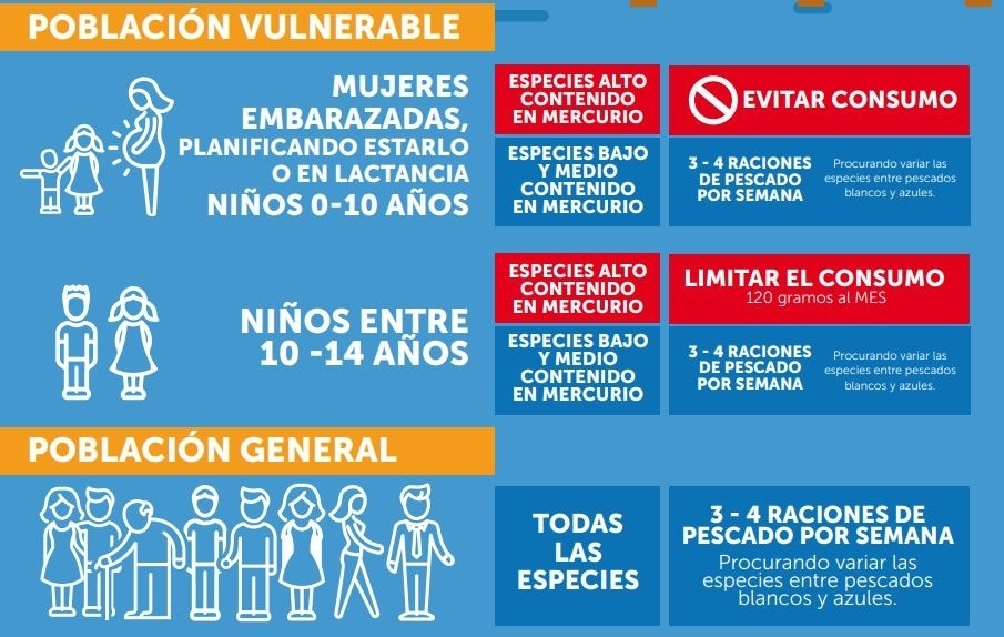 Los pescados que embarazadas y niños no deberían comer