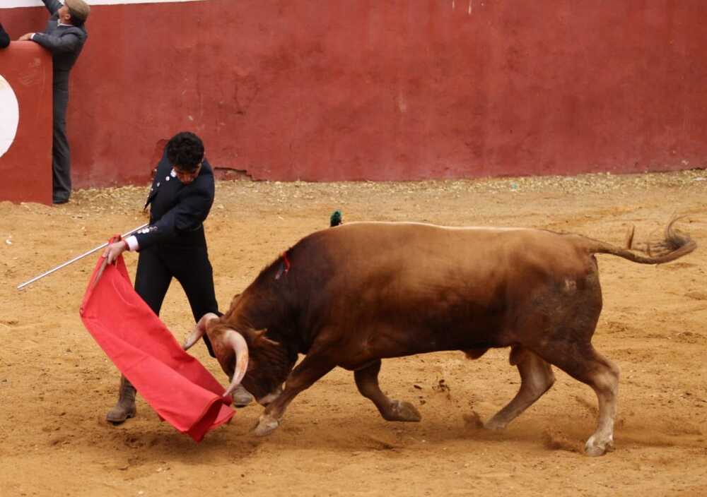 Serio, variado e interesante festival taurino en Casasimarro