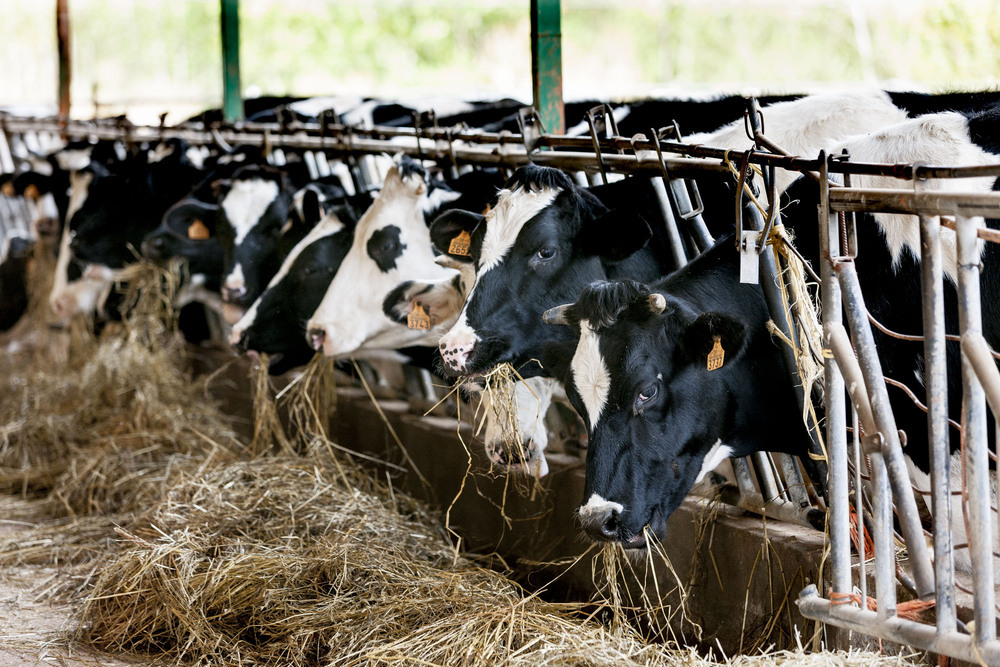 La agricultura y ganadería es la segunda fuente más contaminante, con 3,3 millones de toneladas de gases.