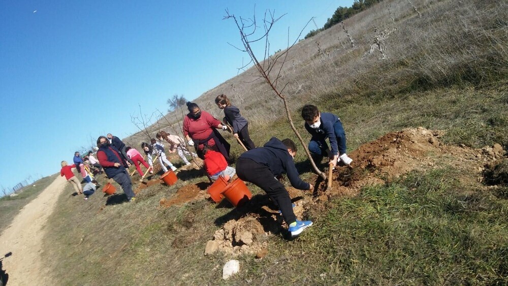 Alumnos del colegio Melchor Cano plantan árboles en la peña El Águila. 