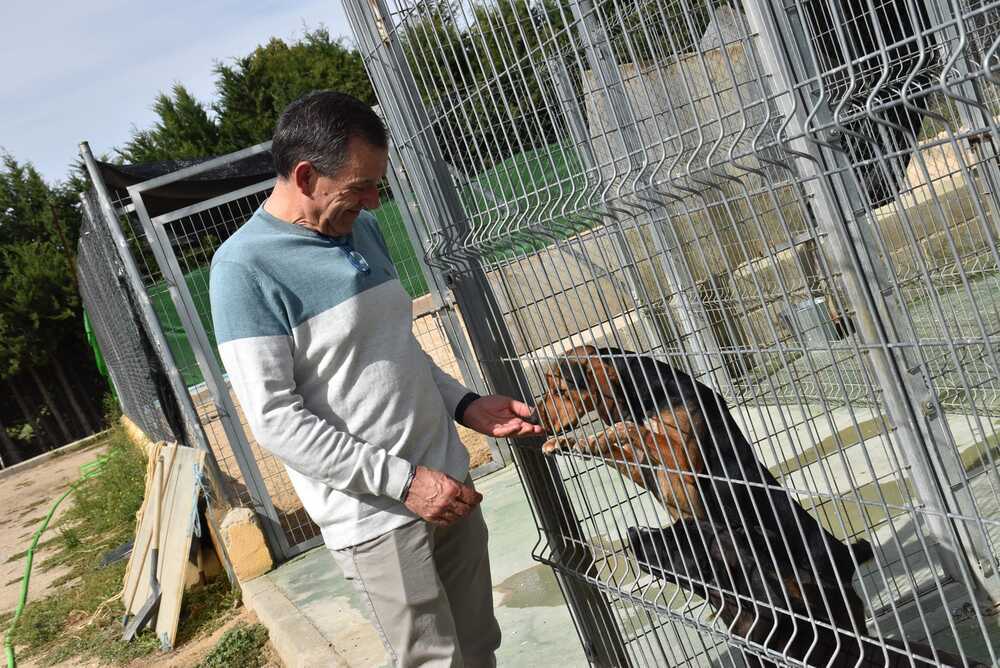 El albergue de animales realiza 100 adopciones el último año 