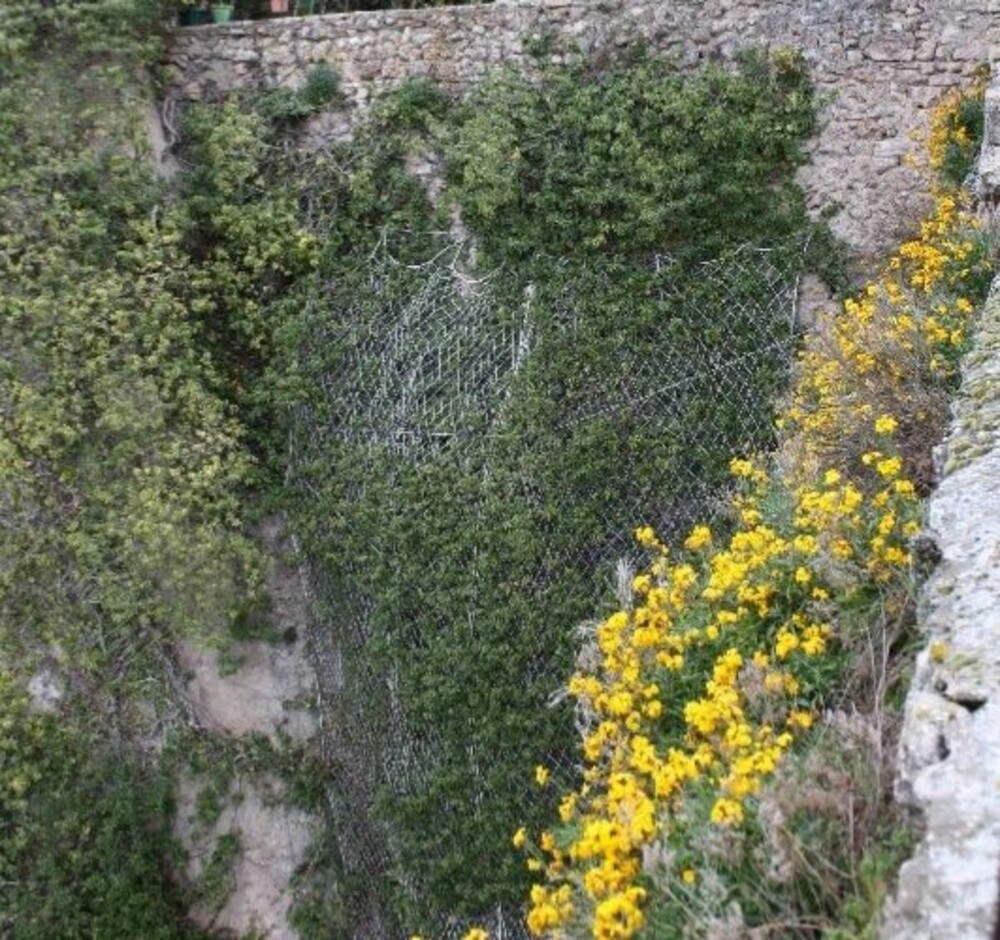 El muro en cuestión se encuentra frente al Convento de los Descalzos.