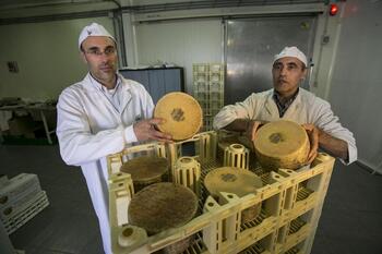 Un queso de Cuenca, medalla Super Oro en los World Cheese