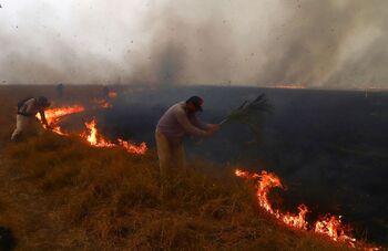 Los incendios arrasan el noreste de Argentina