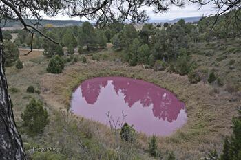Aclaran el misterio de la laguna rosa de Cañada del Hoyo