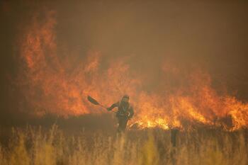 El fuego de la Sierra de la Culebra quema ya 25.000 hectáreas