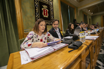 El PSOE rechaza la consulta popular sobre el tren