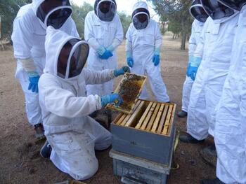 El Gobierno regional ayuda a 69 apicultores conquenses