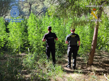 Cuenca registra la mayor subida del país en causas por drogas