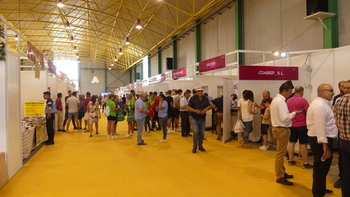 La Feria Internacional del Ajo registró 15.000 visitantes