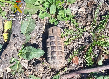Desactivan una granada que descubrió un ganadero en Campillejo