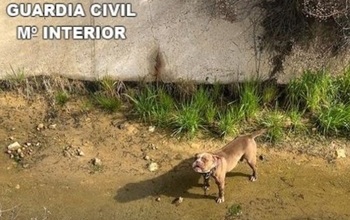 La Guardia Civil rescata un perro de un canal